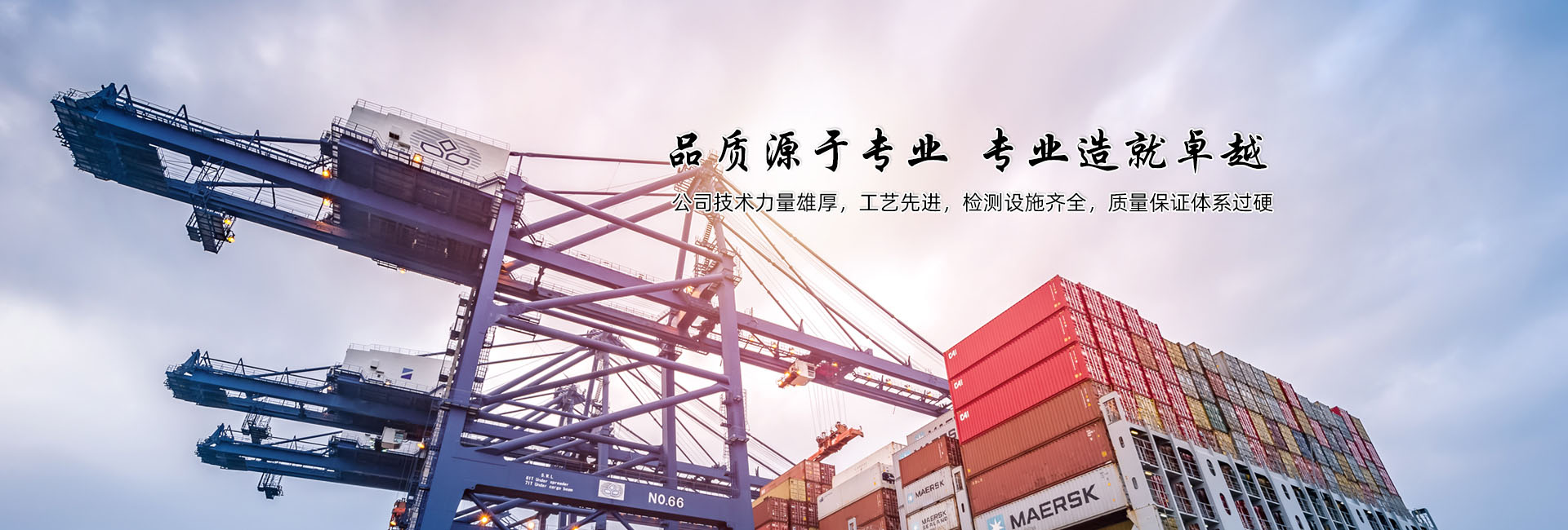 泰兴晨光索具有限公司